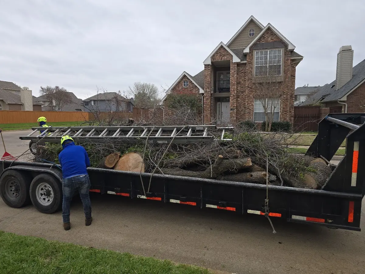 Expert Tree Fertilization with proper safety equipment in Ames